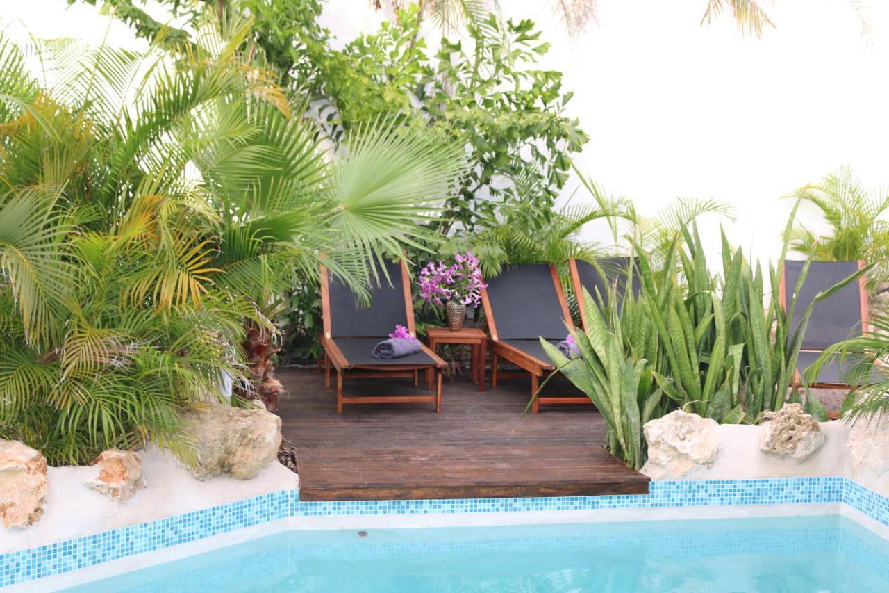 וילמסטאד New House Tropic Paradise With Pool מראה חיצוני תמונה