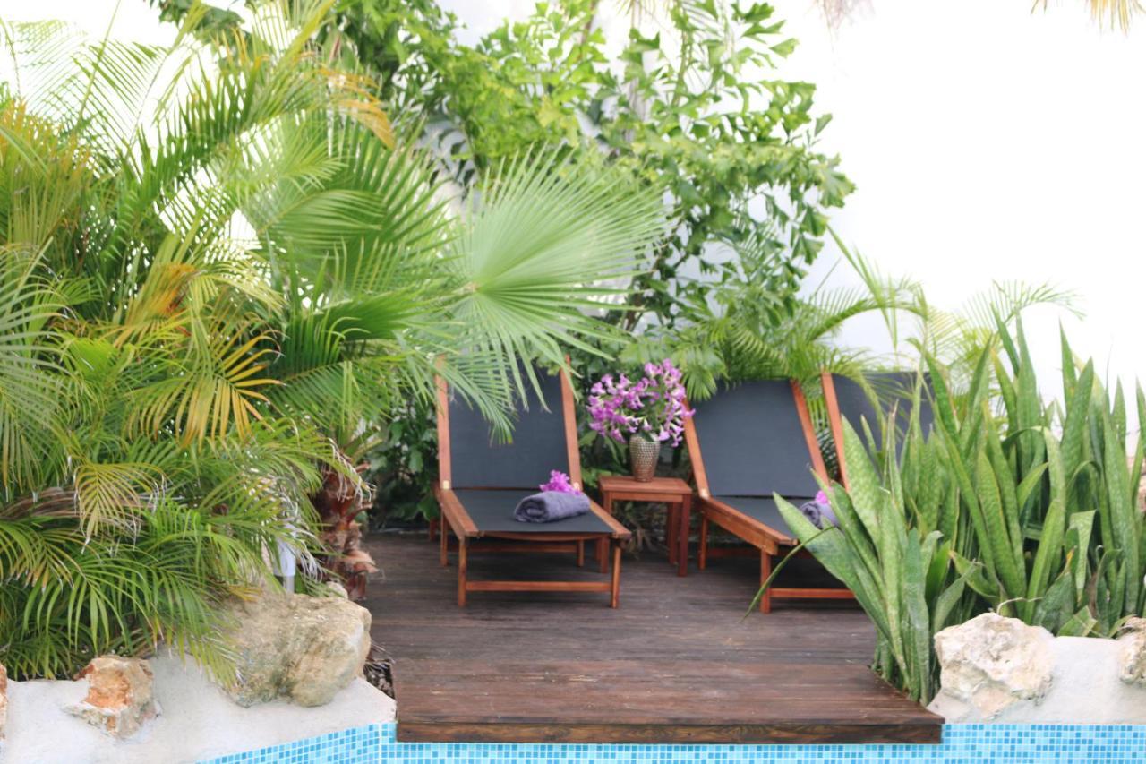 וילמסטאד New House Tropic Paradise With Pool מראה חיצוני תמונה