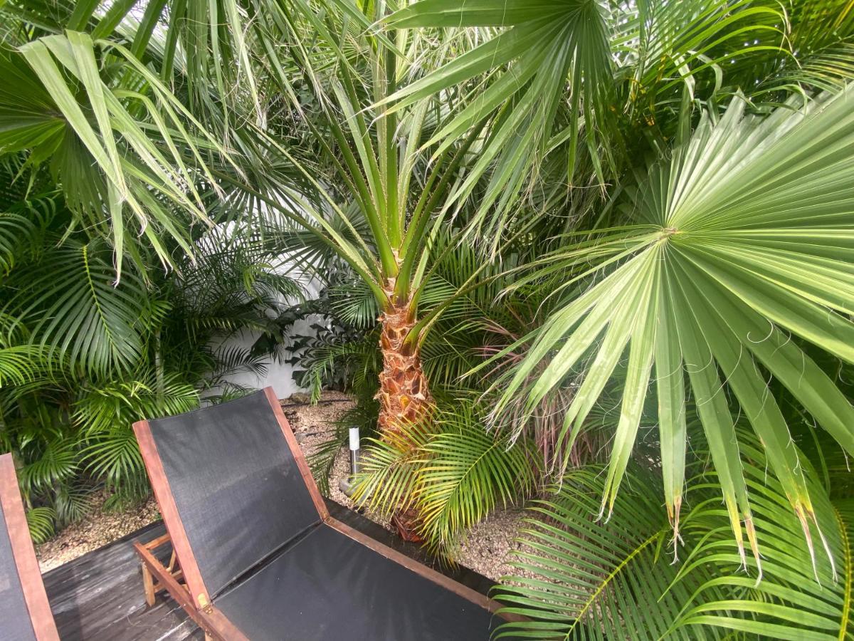 וילמסטאד New House Tropic Paradise With Pool מראה חיצוני תמונה